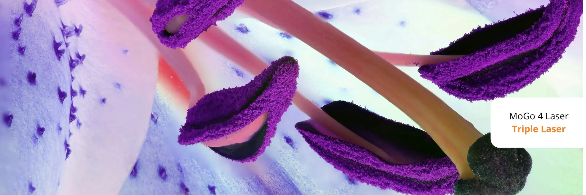 Návrh bez názvu - 2025-09-11T161759.524 (1)