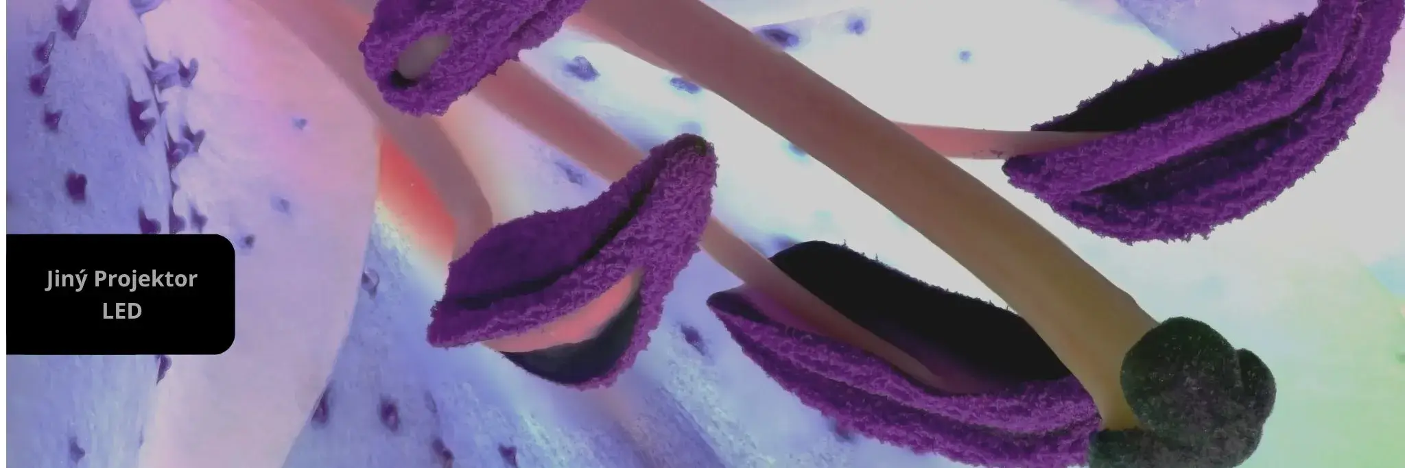 Přidat podnadpis - 2025-07-03T165514.145 (1)