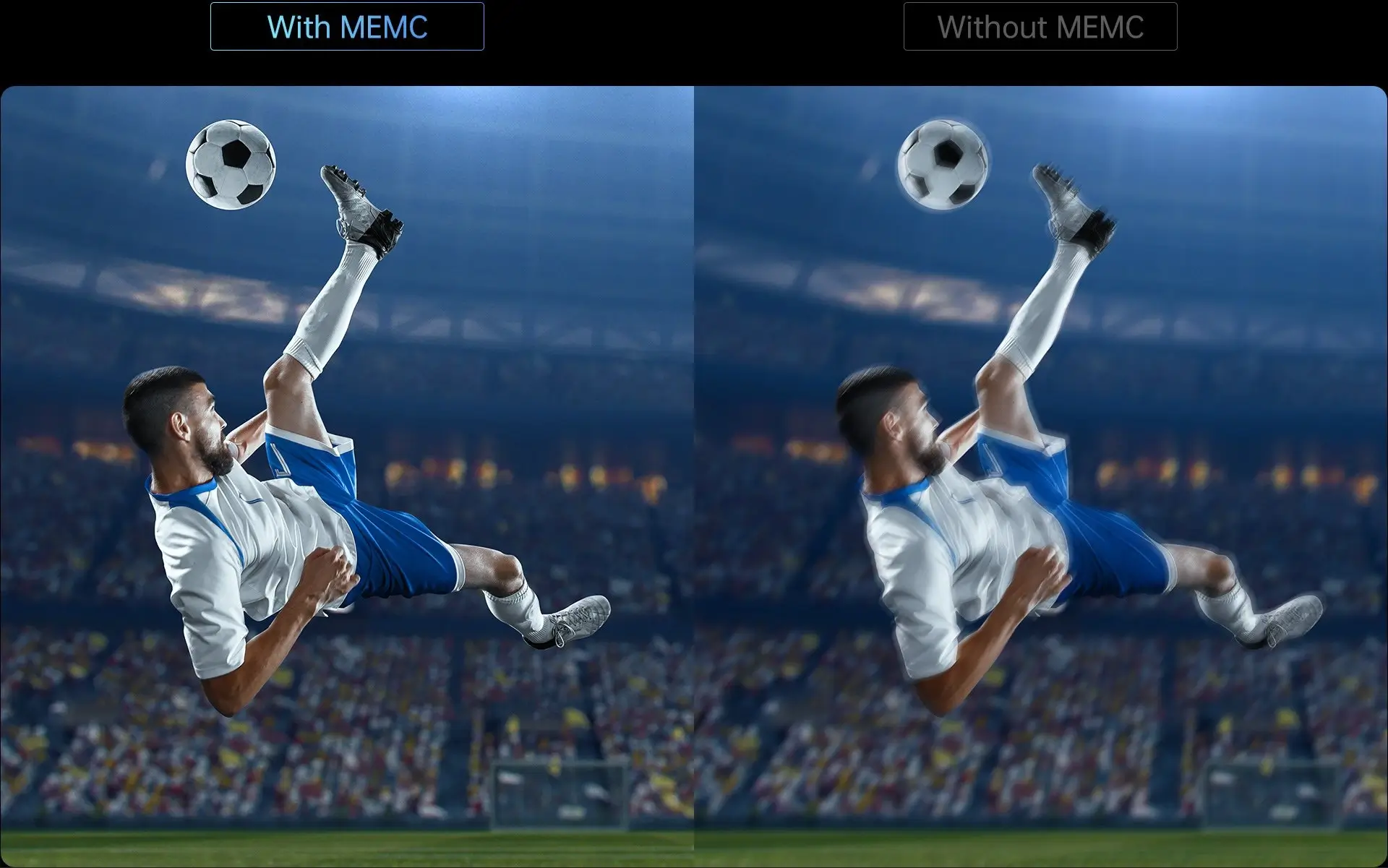 MEMC@2x (1) (1) (1)